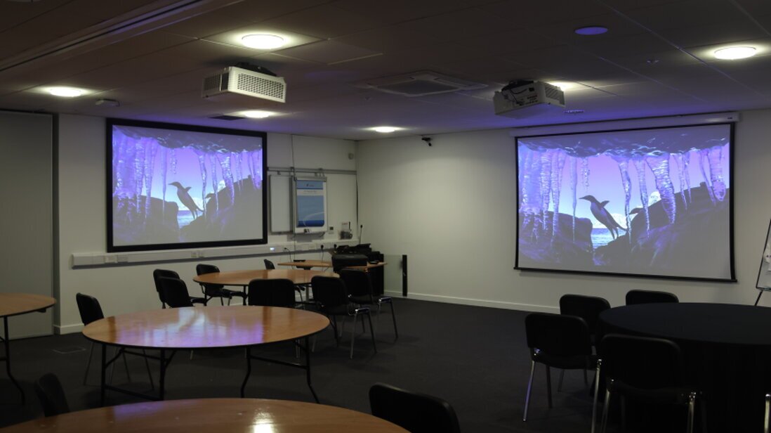 Large format display in a meeting room